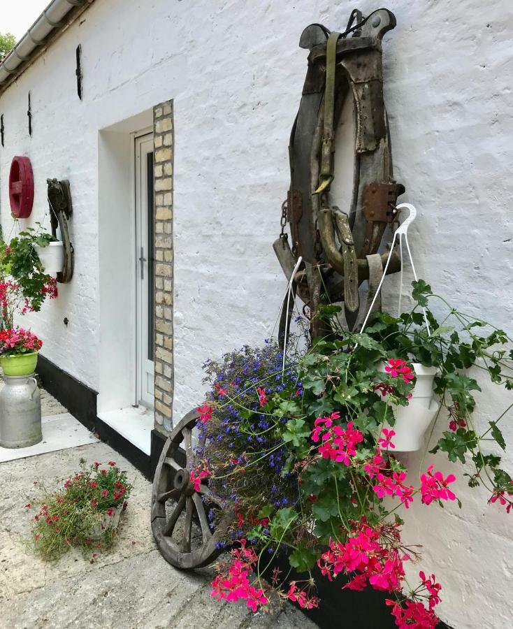 La Ferme Wessiere Guest House Oye-Plage Exterior foto